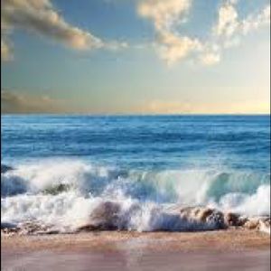 Meet your Posher, Sunny